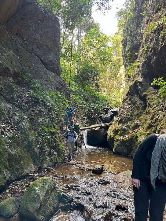 from-chiang-mai-doi-saket-hiking-tour-with-lunch