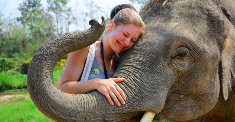 from-chiang-mai-elephant-care-program-and-nursery-tour