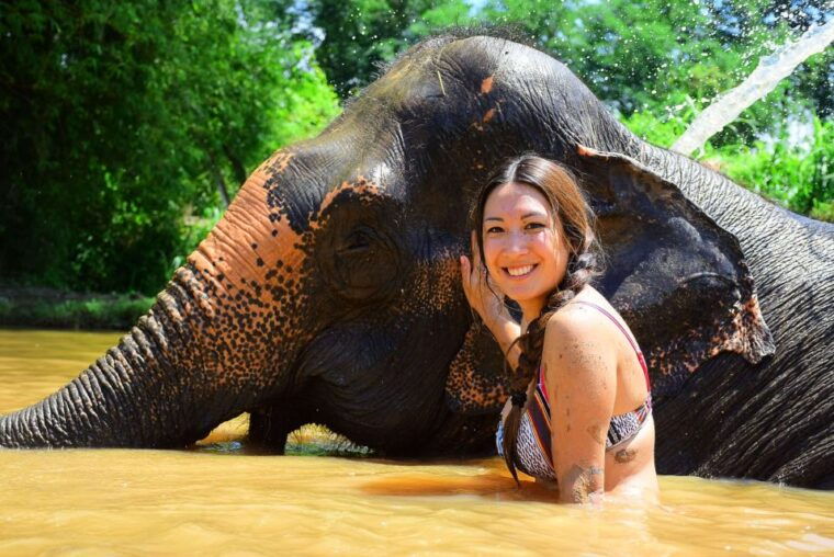from-chiang-mai-elephant-care-program-and-nursery-tour