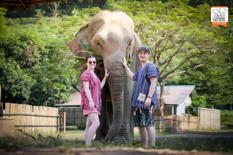 From Chiang Mai: Elephant Jungle Sanctuary Tour & Lunch - The Experience in Detail