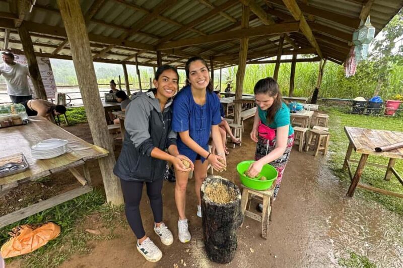 From Chiang Mai: Elephant Sanctuary & Pad Thai Workshop - Key Points