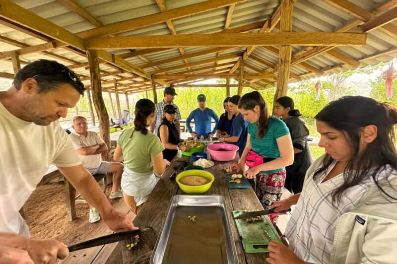 From Chiang Mai: Elephant Sanctuary & Pad Thai Workshop - Who Will Love This Tour?
