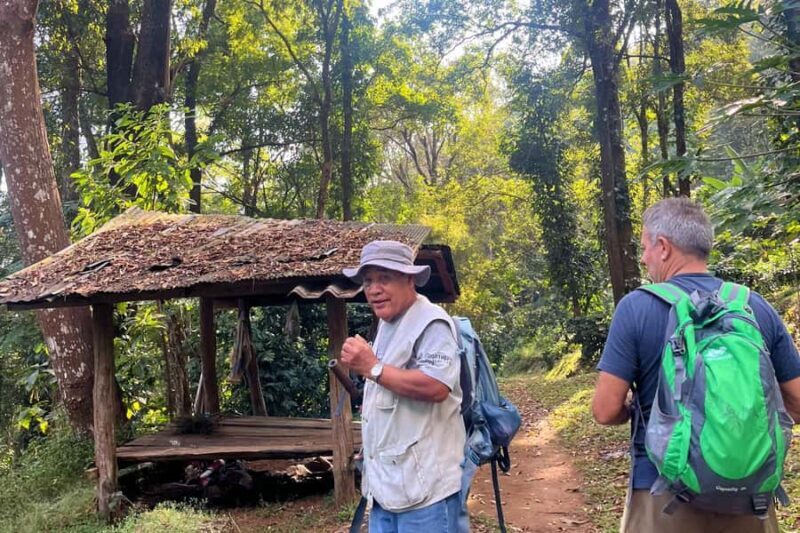 From Chiang Mai: High Mountain Day Trek - Encountering Local People and Hill Tribe Villages