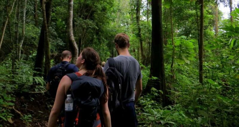 From Chiang Mai: High Mountain Day Trek - Additional Stops: Wat Ban Den and More