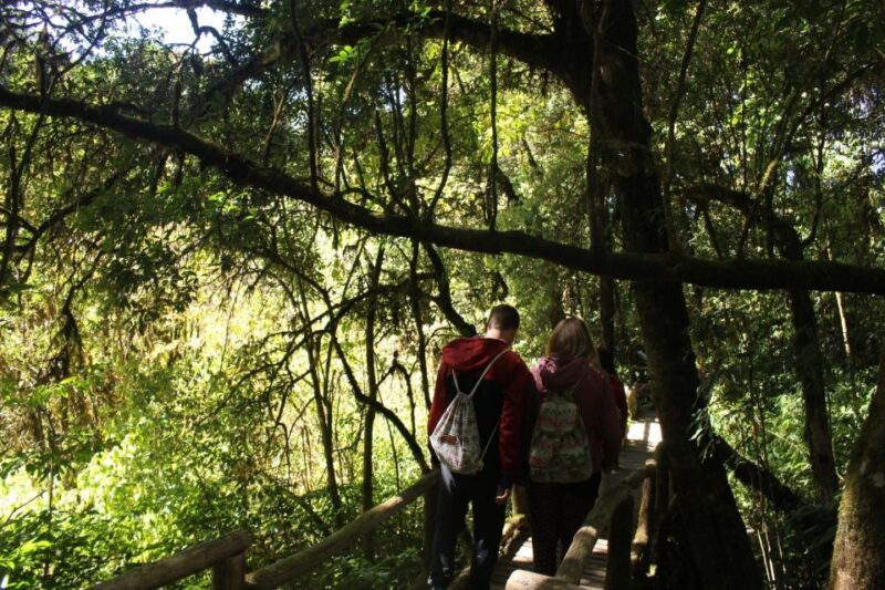 from-chiang-mai-inthanon-national-park-all-inclusive-tour