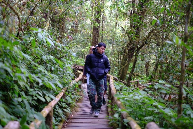 from-chiang-mai-inthanon-national-park-all-inclusive-tour