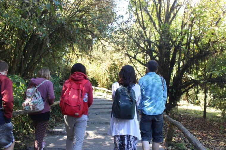 from-chiang-mai-inthanon-national-park-all-inclusive-tour
