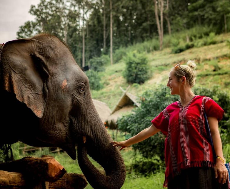 from-chiang-mai-kerchor-eco-elephant-park-tour