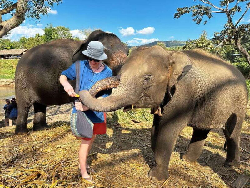 from-chiang-mai-living-green-elephant-sanctuary-tour