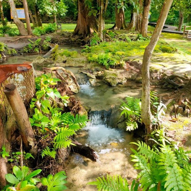 from-chiang-mai-temples-sticky-waterfall-and-orchid-farm