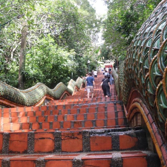 from-chiang-mai-temples-sticky-waterfall-and-orchid-farm