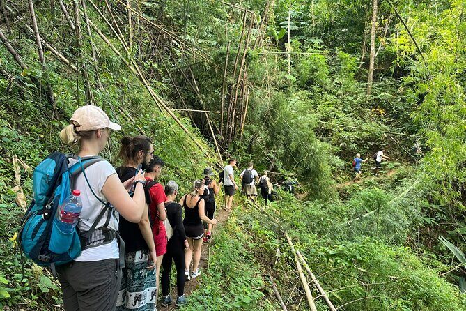 From Chiang Rai Jungle Adventure Group Trekking Bamboo Cooking - Why This Tour Stands Out