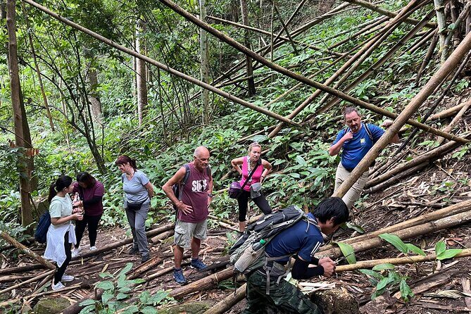 From Chiang Rai Jungle Adventure Group Trekking Bamboo Cooking - Final Thoughts