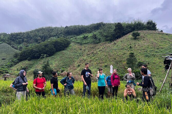 From Chiang Rai Jungle Adventure Group Trekking Bamboo Cooking - FAQ
