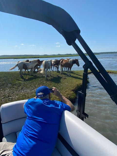from-chincoteague-pony-and-wildlife-boat-tour