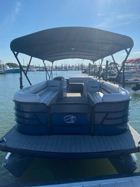 from-chincoteague-pony-and-wildlife-boat-tour