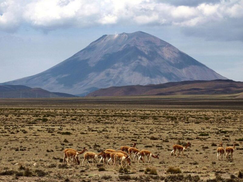 from-chivay-route-from-chivay-colca-to-the-city-of-puno-2