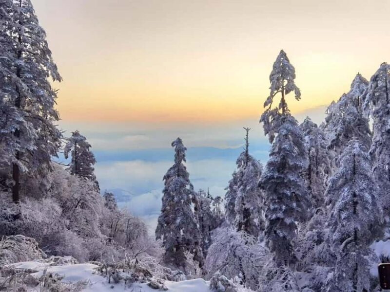 From Chongqing: Wawu Mountain 2-Day Winter Scenic Tour - Overview of the Wawu Mountain 2-Day Winter Tour