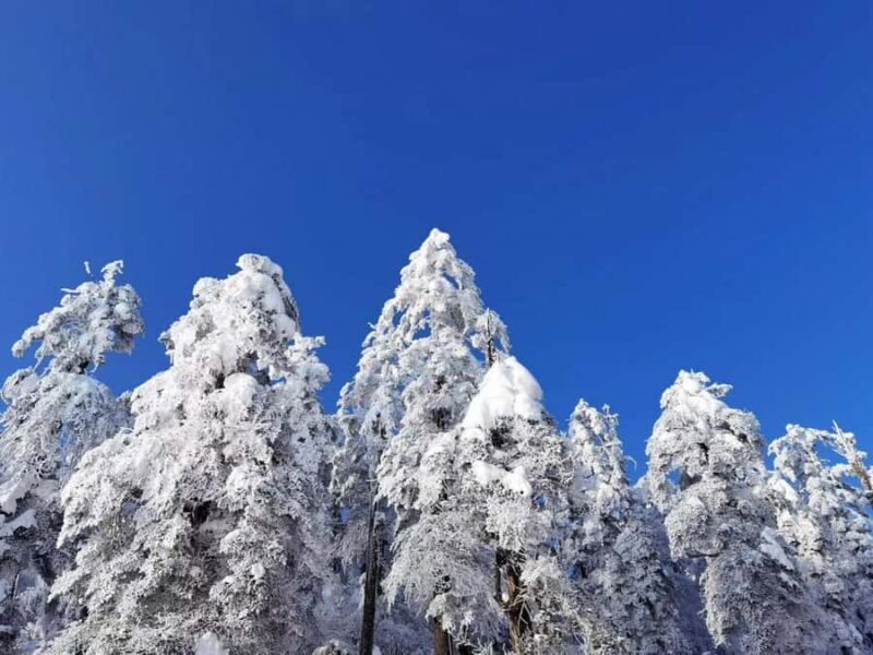 From Chongqing: Wawu Mountain 2-Day Winter Scenic Tour - Exploring Wawu Mountain Scenic Area