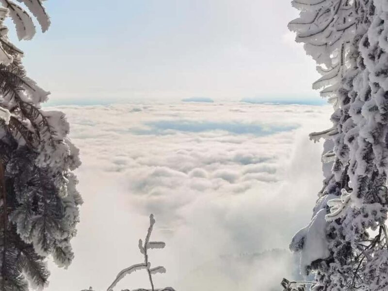 From Chongqing: Wawu Mountain 2-Day Winter Scenic Tour - Practical Details and What to Pack