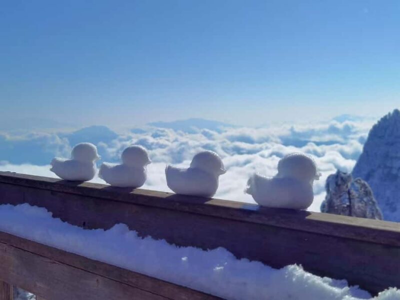 From Chongqing: Wawu Mountain 2-Day Winter Scenic Tour - The Value of the Experience