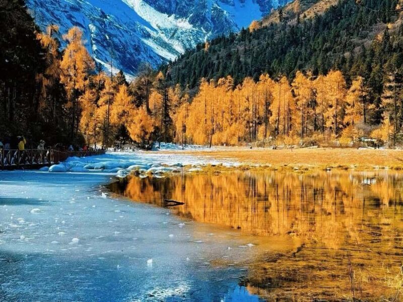 From Chongqing Winter 2-Day Bipenggou Snow Tour - Who Would Love This Tour?