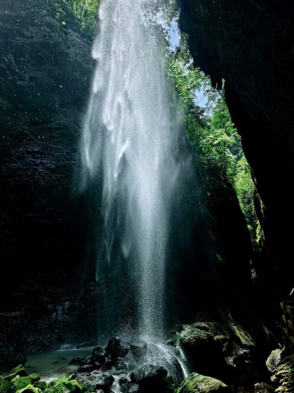 From Chongqing: Wulong UNESCO Film Locations Full-Day Tour - Final Thoughts: Is It Worth It?