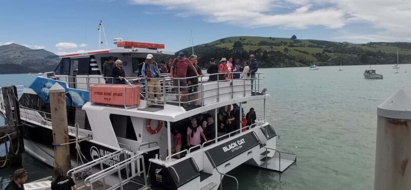 From Christchurch: Akaroa Day Tour with Optional Cruise - The Value of the Experience