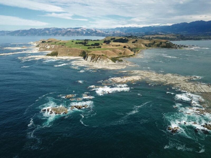 From Christchurch: Kaikura Day Tour With Dolphin Encounter - Exploring the Kaikoura Day Tour from Christchurch: An Honest Look