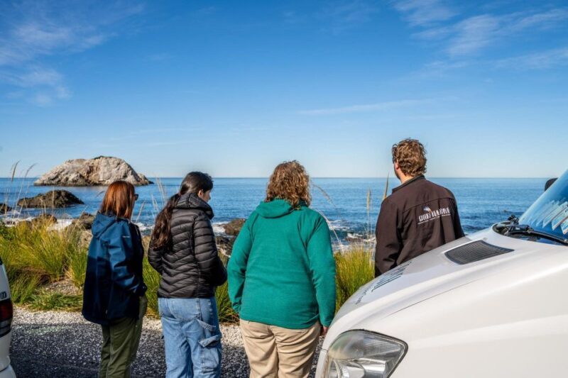 From Christchurch: Kaikura Day Tour With Dolphin Encounter - Who Is This Tour Best For?