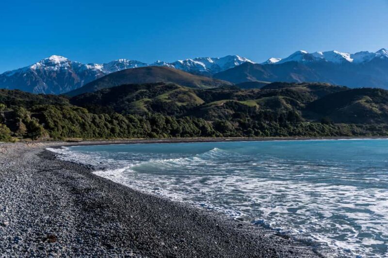 From Christchurch: Kaikura Day Tour With Dolphin Encounter - FAQs