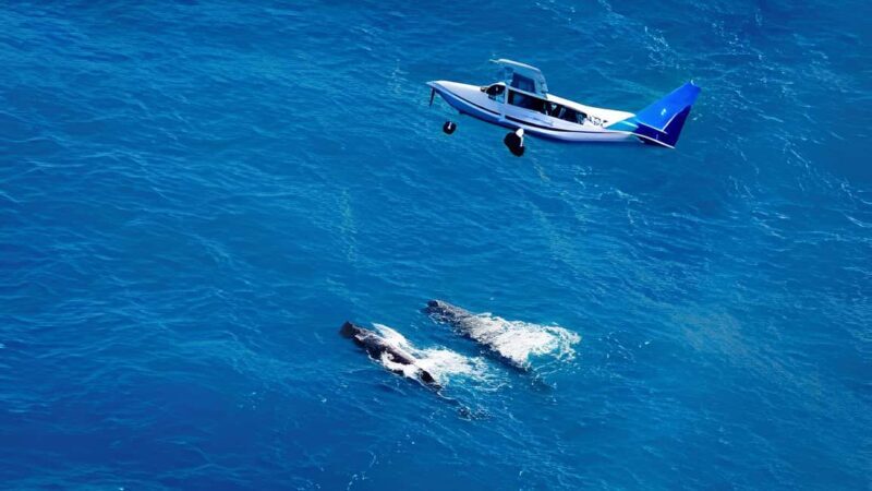 From Christchurch: Private Kaikoura Tour with Guide - The Itinerary: What to Expect on Your Day in Kaikoura