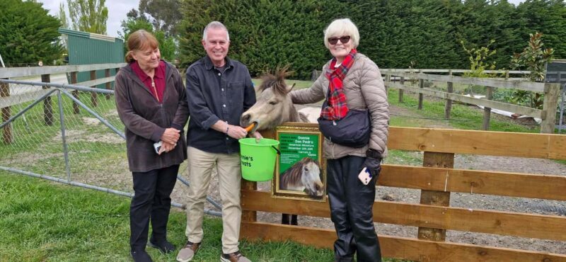 From Christchurch: Sheep Farm Day Trip with Lunch & Winery - Key Points
