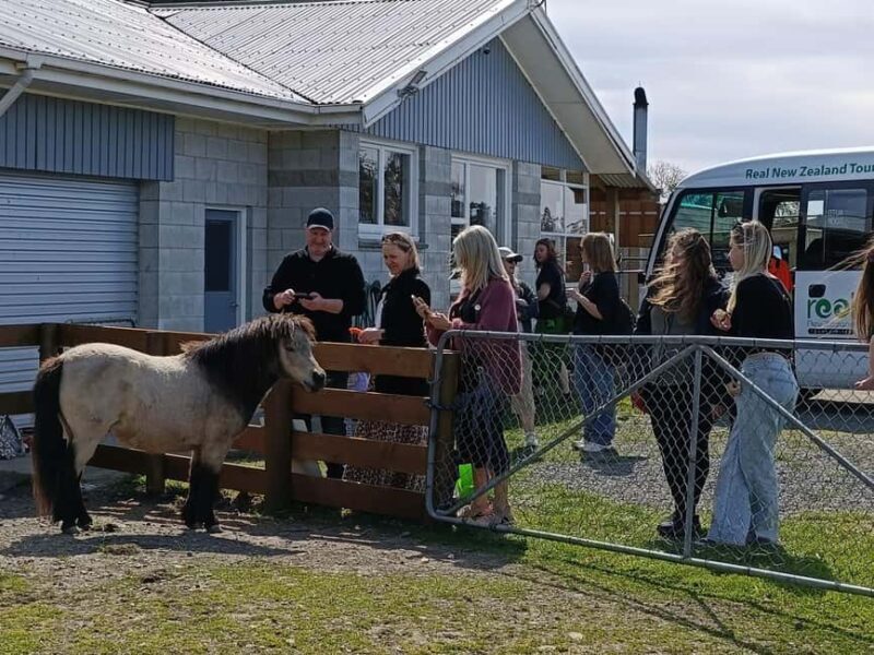 From Christchurch: Sheep Farm Day Trip with Lunch & Winery - Exploring the Christchurch to Waipara Day Trip