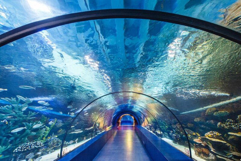 from-city-of-side-antalya-aquarium-tour-ticket-transfer