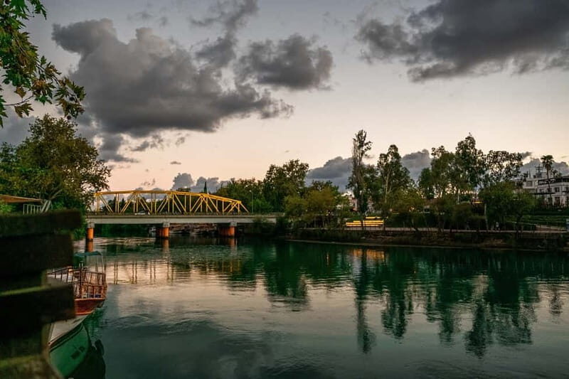 From city of Side: Dolphin Watching Boat Tour with Lunch - Key Points