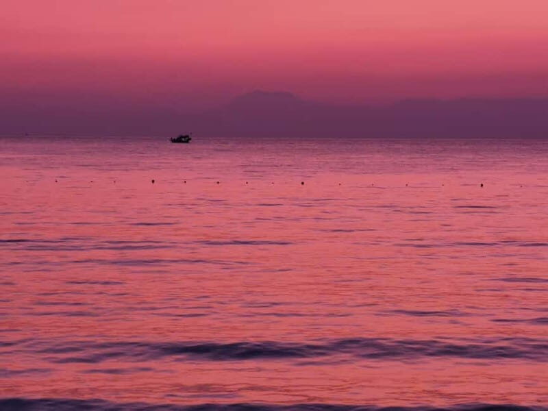 From city of Side: Dolphin Watching Boat Tour with Lunch - Should You Book This Tour?