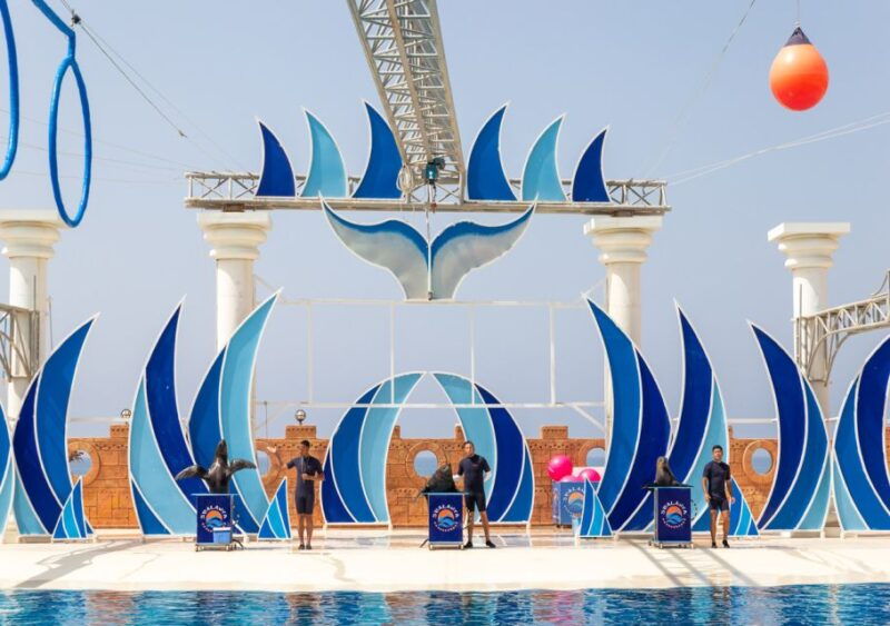 from-city-side-alanya-sealanya-dolphin-show-with-transfers