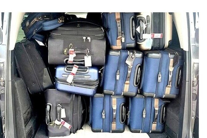 from-civitavecchia-port-to-fiumicino-airport-or-rome-city