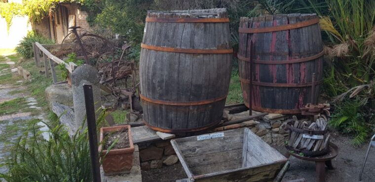 from-civitavecchia-tuscany-latium-wine-tour-with-tastings-2