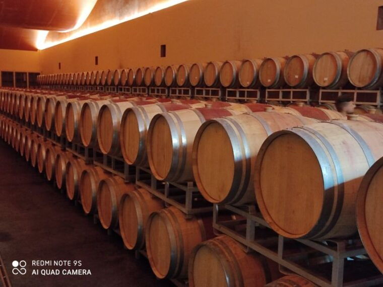 from-civitavecchia-tuscany-latium-wine-tour-with-tastings-2