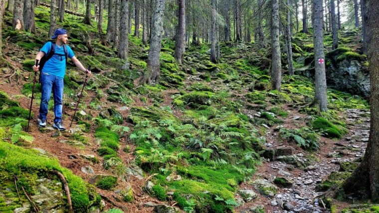 from-cluj-golden-circle-of-transylvania