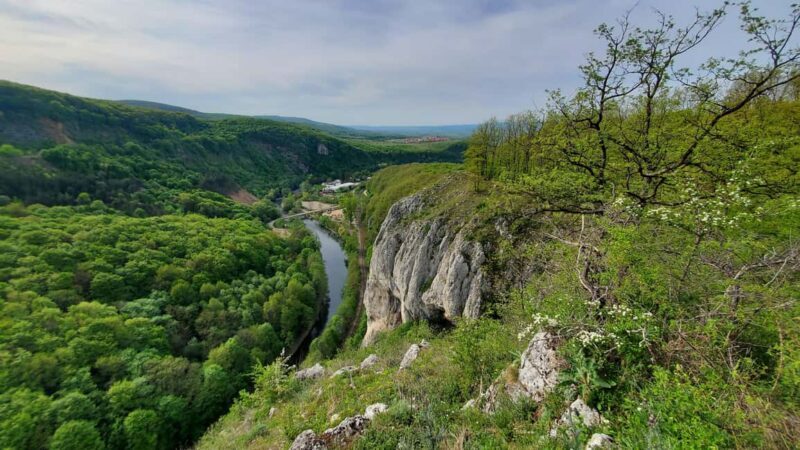 From Cluj: Gorges of Crisul Repede River - Exploring the Crisul Repede Gorges: What You Can Expect