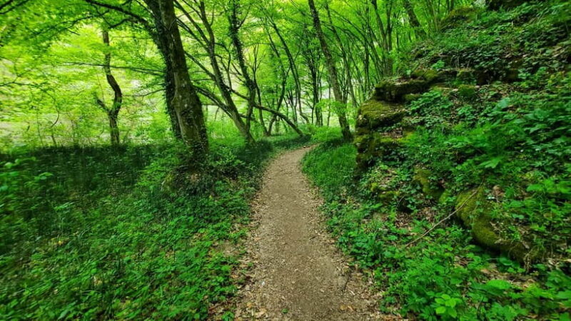 From Cluj: Gorges of Crisul Repede River - Authentic Experiences and Feedback from Travelers