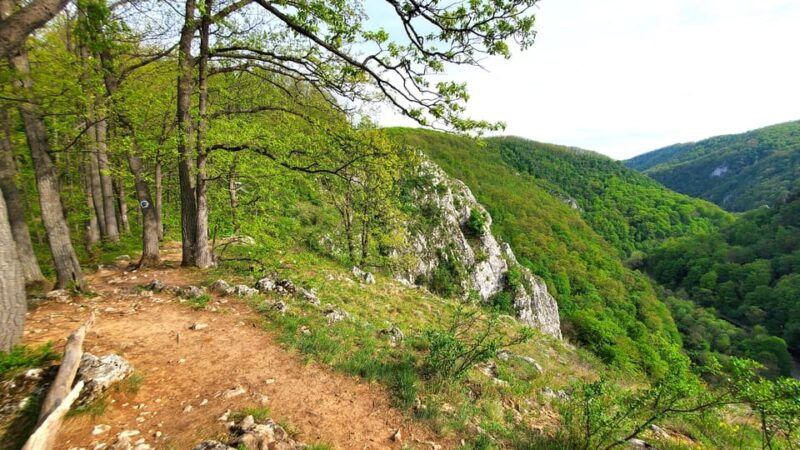 from-cluj-gorges-of-crisul-repede-river