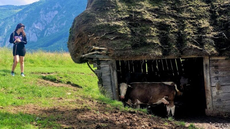 from-cluj-napoca-apuseni-mountains-hiking-guided-day-tour