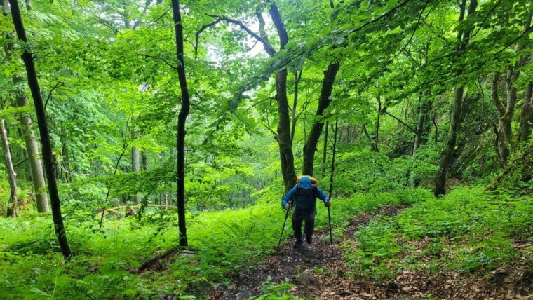 from-cluj-napoca-apuseni-mountains-hiking-guided-day-tour