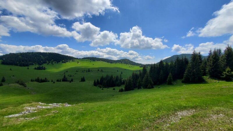 from-cluj-napoca-carpathian-mountains-guided-scenic-hike