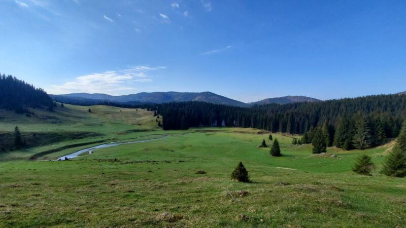 from-cluj-napoca-carpathian-mountains-guided-scenic-hike