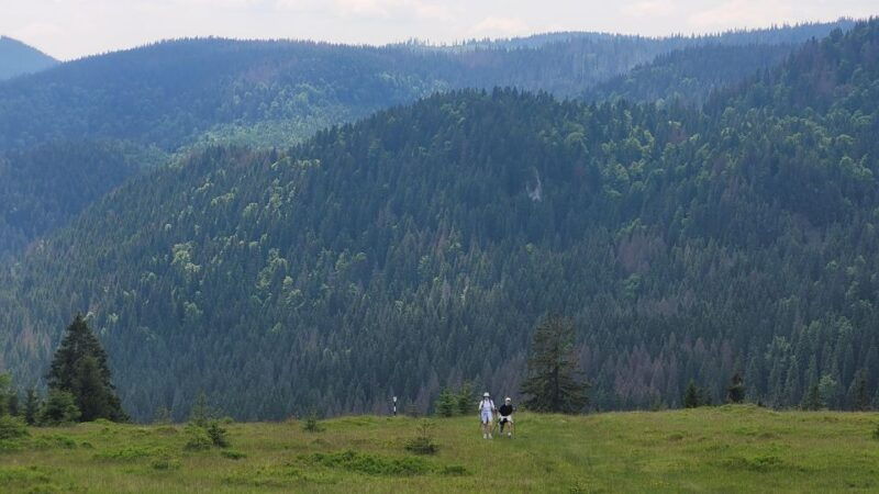 from-cluj-napoca-day-hike-to-vladeasa-peak